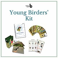 Early Bird Gift Pack