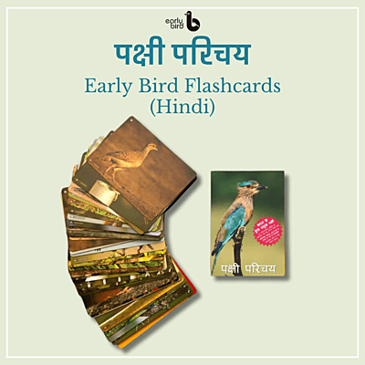 Early Bird Flashcards (Hindi)