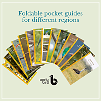 Early Bird Pocket Guides