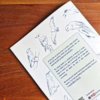 Young Birders' Activity Booklet