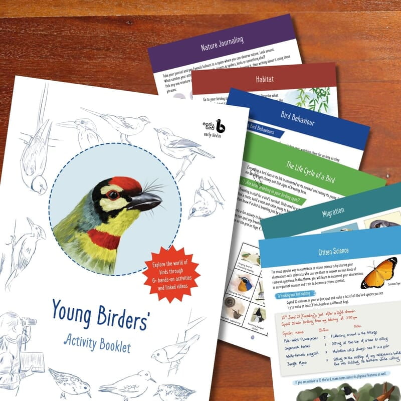 Young Birders' Activity Booklet Young Birders' Activity Booklet