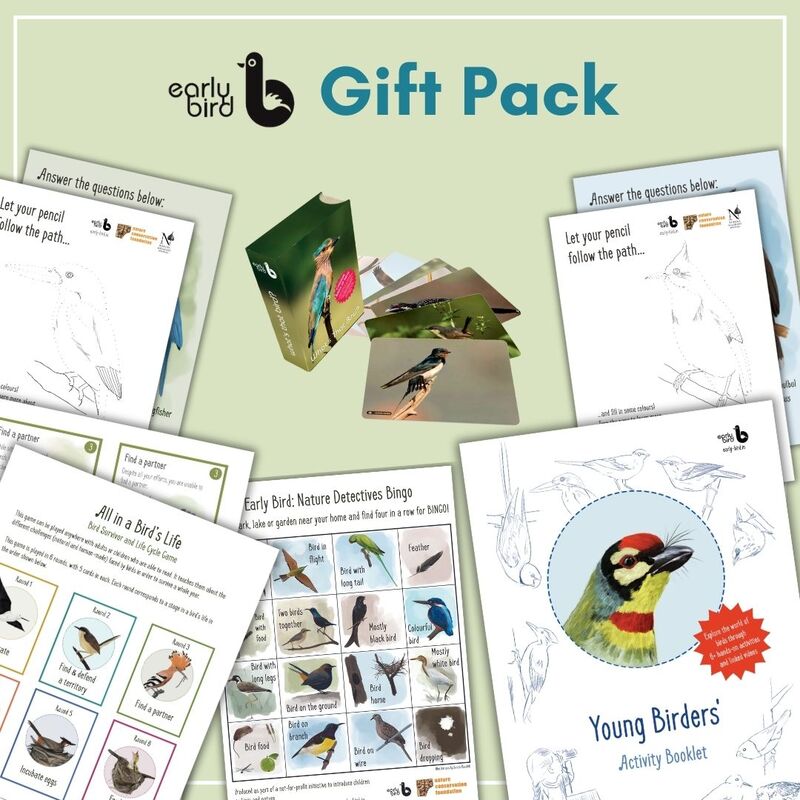 Early Bird Gift Pack