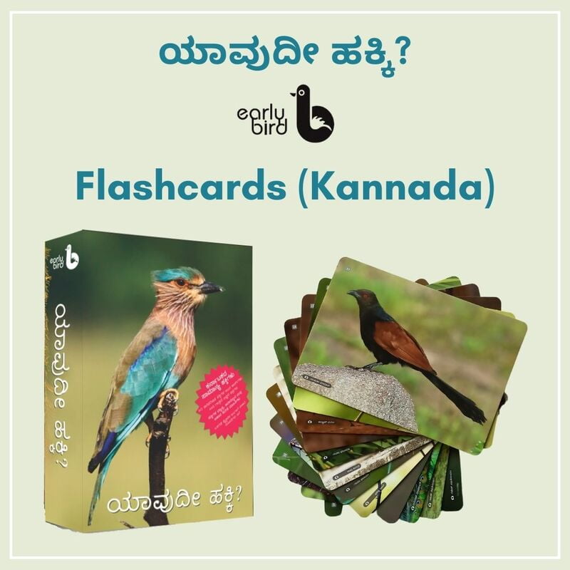Early Bird Flashcards (Kannada)