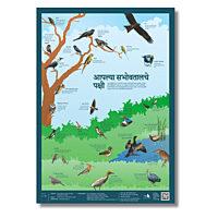 Early Bird Poster - Birds Around Us Early Bird Poster - Birds Around Us