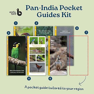 Pan-India Pocket Guides Kit