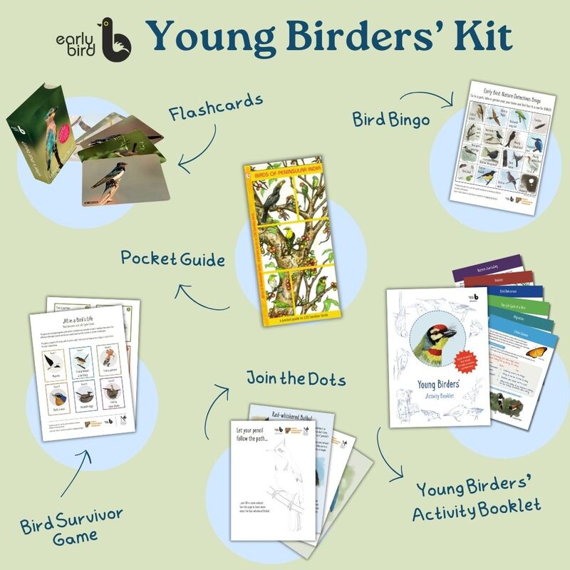 Young Birders' Kit Young Birders' Kit