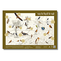 Early Bird Poster - Grassland and Farmland Birds