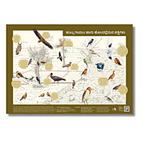 Early Bird Poster - Grassland and Farmland Birds Early Bird Poster - Grassland and Farmland Birds