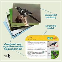 Early Bird Flashcards (Kannada)