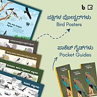 ಪ್ರಕೃತಿಯ ಪೆಟ್ಟಿಗೆ | Nature Education Kit (Kannada) ಪ್ರಕೃತಿಯ ಪೆಟ್ಟಿಗೆ | Nature Education Kit (Kannada)