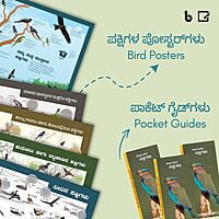 ಪ್ರಕೃತಿಯ ಪೆಟ್ಟಿಗೆ | Prakritiya Pettige (Nature Education Kit in Kannada)