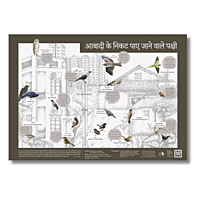 Early Bird Poster - Birds around Human Habitation Early Bird Poster - Birds around Human Habitation