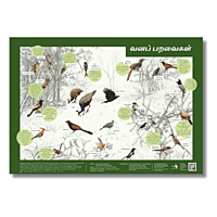 Early Bird Poster - Woodland and Scrubland Birds