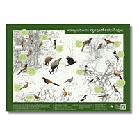 Early Bird Poster - Woodland and Scrubland Birds