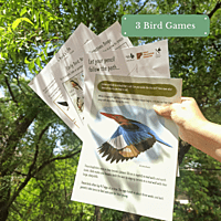 Early Bird Educators’ Kit