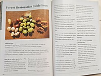 Growing Native Tree Species for Forest Restoration in North-east India - A Practitioner's Manual Growing Native Tree Species for Forest Restoration in North-east India - A Practitioner's Manual