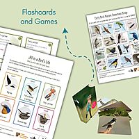 Nature Education Kit (English)