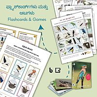 ಪ್ರಕೃತಿಯ ಪೆಟ್ಟಿಗೆ | Prakritiya Pettige (Nature Education Kit in Kannada)