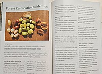 Growing Native Tree Species for Forest Restoration in North-east India - A Practitioner's Manual Growing Native Tree Species for Forest Restoration in North-east India - A Practitioner's Manual
