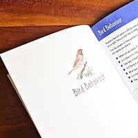 Young Birders' Activity Booklet