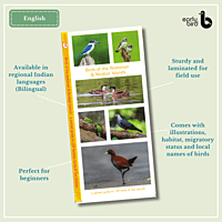 Early Bird Pocket Guides - Bulk Purchase Early Bird Pocket Guides - Bulk Purchase