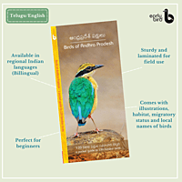Early Bird Pocket Guides Early Bird Pocket Guides