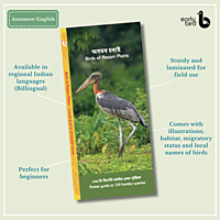 Early Bird Pocket Guides Early Bird Pocket Guides