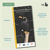 Early Bird Pocket Guides - Bulk Purchase of 50