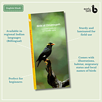 Early Bird Pocket Guides Early Bird Pocket Guides