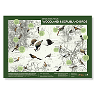 Early Bird Poster - Woodland and Scrubland Birds