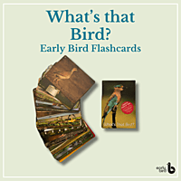 Early Bird Flashcards (English)