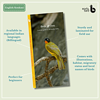 Early Bird Pocket Guides Early Bird Pocket Guides