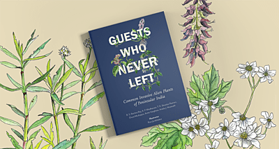 Guests Who Never Left: Common Invasive Alien Plants of Peninsular India