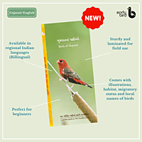 Early Bird Pocket Guides