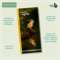 Early Bird Pocket Guides Early Bird Pocket Guides