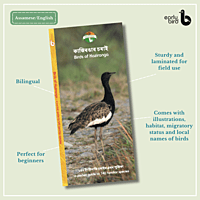 Early Bird Pocket Guides Early Bird Pocket Guides