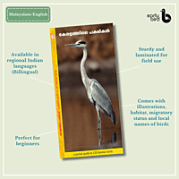 Early Bird Pocket Guides