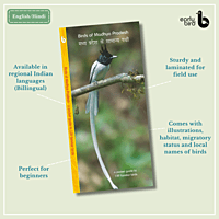 Early Bird Pocket Guides