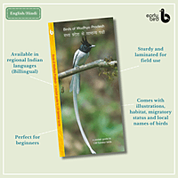 Early Bird Pocket Guides Early Bird Pocket Guides