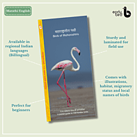 Early Bird Pocket Guides Early Bird Pocket Guides