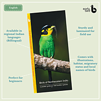 Early Bird Pocket Guides Early Bird Pocket Guides