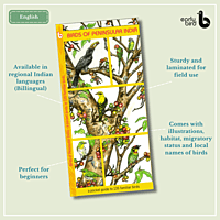Early Bird Pocket Guides Early Bird Pocket Guides