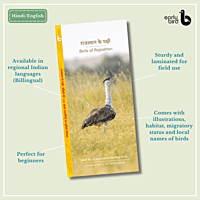 Early Bird Pocket Guides