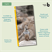 Early Bird Pocket Guides