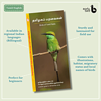 Early Bird Pocket Guides Early Bird Pocket Guides