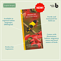 Early Bird Pocket Guides