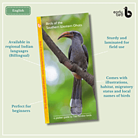 Early Bird Pocket Guides Early Bird Pocket Guides