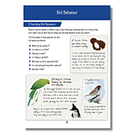 Young Birders' Network Activity Booklet