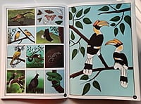 Wildlife of Pakke - Colouring Book and Nature Journal